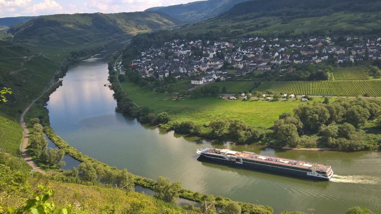 Mosel Ausblick Apartment Zell an der Mosel Luaran gambar