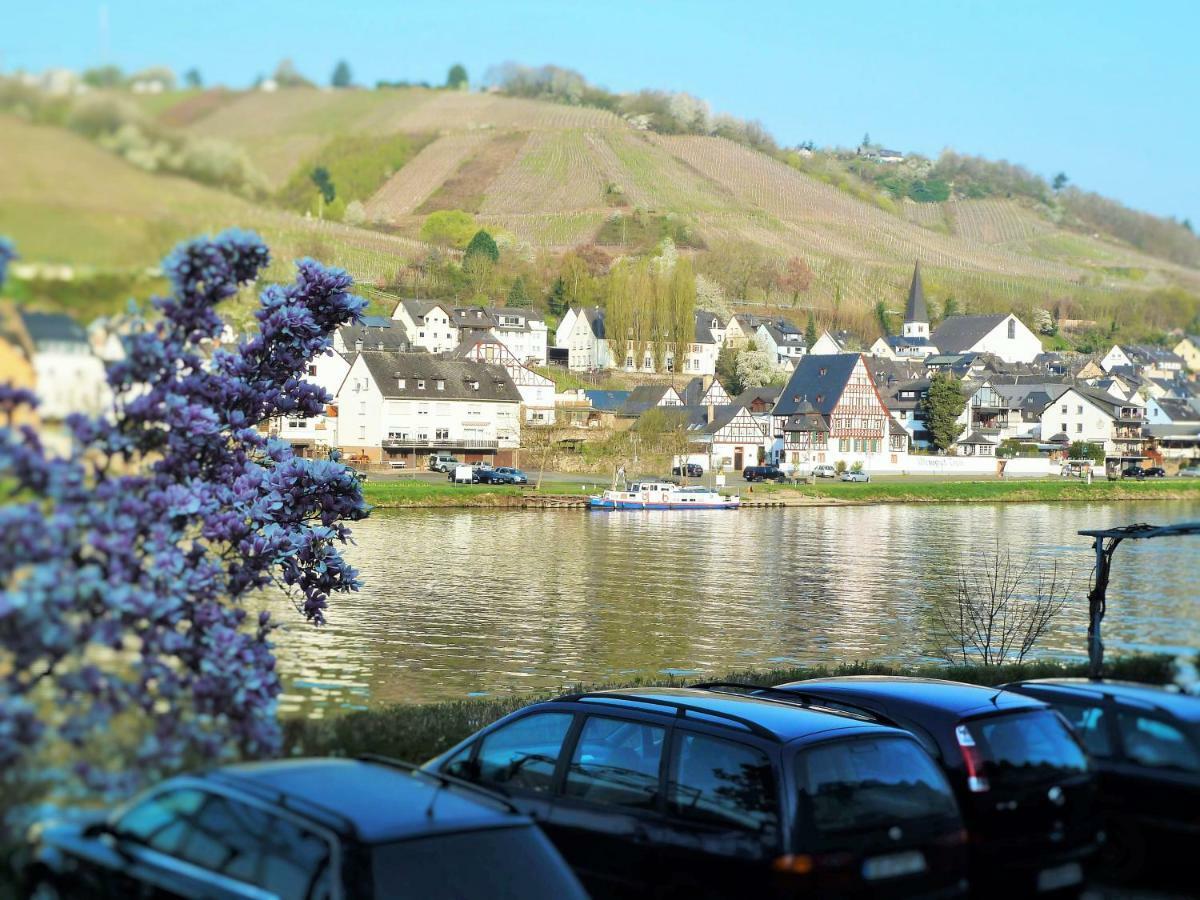 Mosel Ausblick Apartment Zell an der Mosel Luaran gambar
